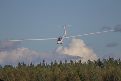 IMG_7064.jpg